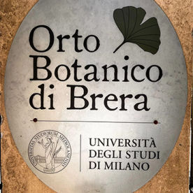 Antica Spezieria di Brera